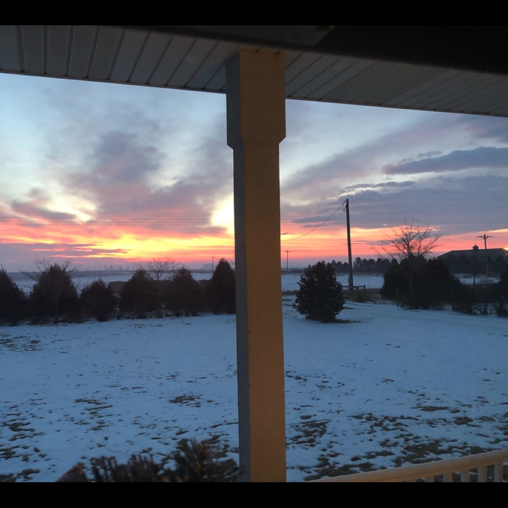 Meet your Posher, Holley